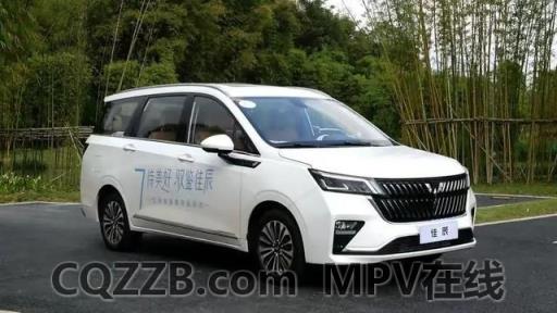 MPV在线：为什么很少买mpv