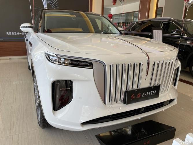 汽车疑问：红旗ehs9是汽油车还是电动车(图)  第2张