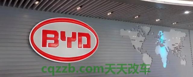 揭露：比亚迪是国家控股吗()