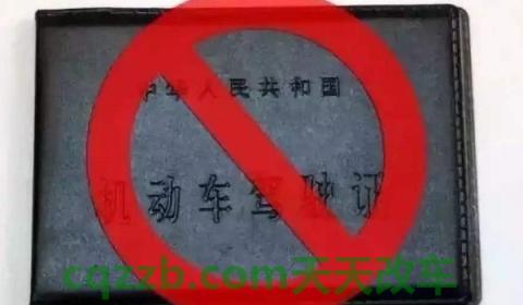 驾照丢了别人捡到能用吗(驾驶证丢失期间可以驾驶机动车吗)  第2张