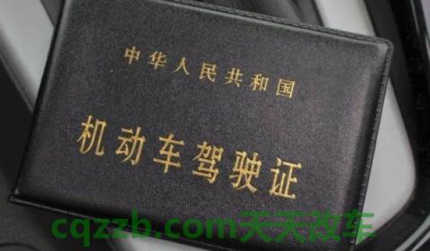 驾驶证证件照什么底色(机动车驾驶证更换时间)  第3张