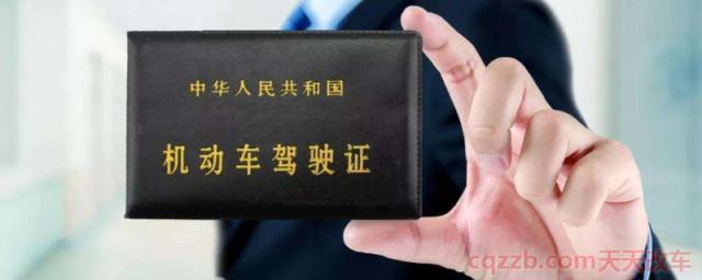 老人开车最大年龄限制(驾车的年龄限制是什么)