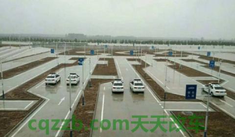 科目二模拟必须教练带去吗(科目二考试的难点)  第2张