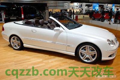 问答：日内瓦车展_什么是日内瓦车展