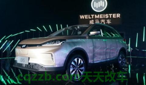 威马新能源汽车哪个厂家(威马ex5使用的是什么电机)  第3张