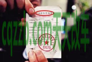 有关：交通罚款滞纳金_交通业务办理  第2张