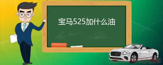 宝马525加什么油()