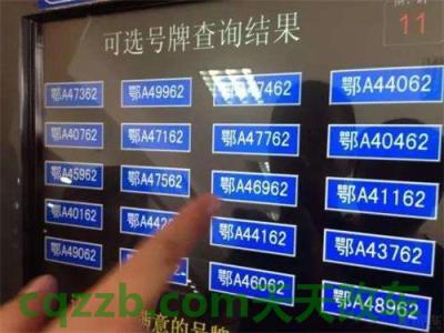 河南各地区车牌号简称(车牌号的意义)  第3张