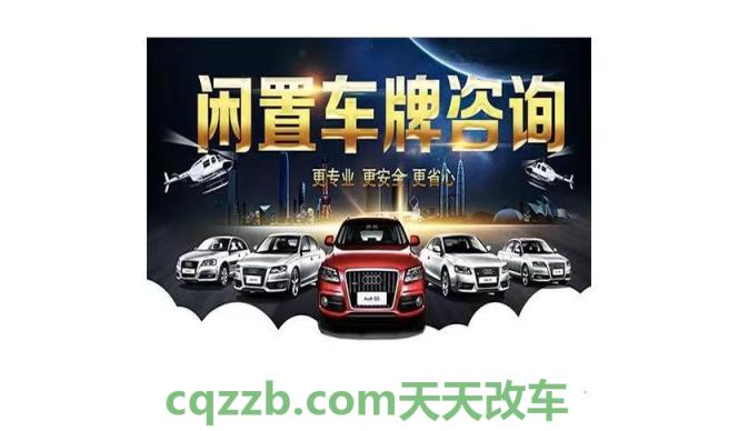 有关：代办上牌多少钱_交通问题  第2张