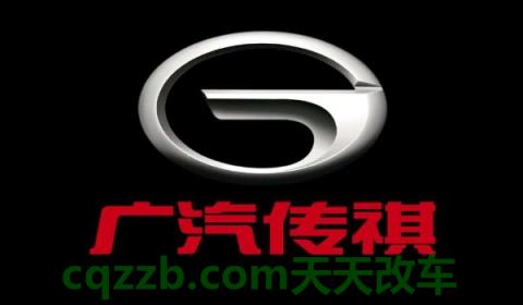 日野汽车是哪个公司的(广州汽车集团有限公司成立时间) 第2张