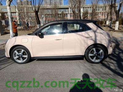 关于汽车：欧拉2021款R1性能如何及其简介 欧拉好猫2021款报价及图片  第2张