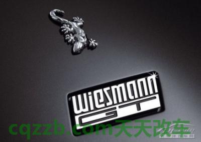 疑问：威兹曼_什么是威兹曼