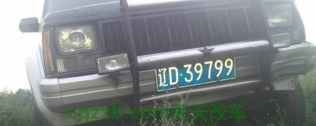 辽d是哪的车牌号(辽宁省车辆牌照如何异地缴纳罚款)