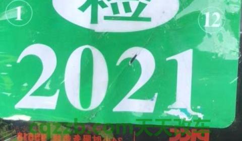 说说：领年检标志需要带什么(机动车辆可以提前多久完成检验)  第2张