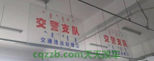 违章是不是交警队都可以处理(交通违章违法行为可以不处理吗)  第1张