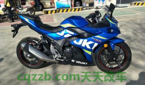 gsx250几秒破百(gsx250的价格)  第3张