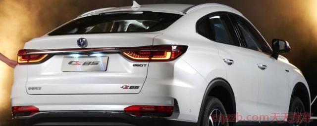 车尾灯一侧亮一侧不亮(车尾灯灯泡能够进行更换吗)  第1张