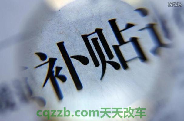 汽车疑问：国家/地方补贴_什么是国家/地方补贴  第2张