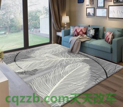 汽车有用：地毯_什么是地毯