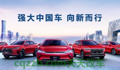 揭露：比亚迪是国家控股吗()  第2张
