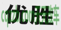 汽车有用：优胜_什么是优胜