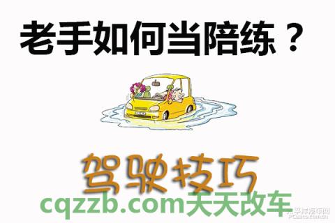 车知识：老手当陪练技巧_什么是老手当陪练技巧  第1张