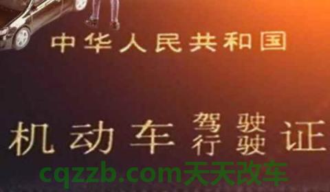 私人过户二手车要发票吗(车辆违章违法行为怎么处理)  第2张