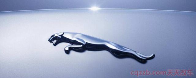 捷豹汽车车标上的动物是什么(捷豹被谁收购了) 第1张