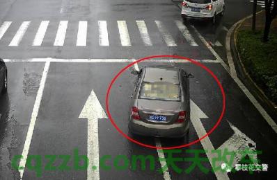 有用:机动车逆向行驶罚款吗_交通问题 第2张