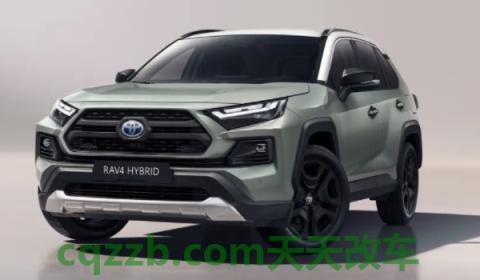 详谈：ravs是什么车(RAV4的底盘转向系统是什么)  第2张