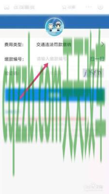 汽车问答：网上可以交违章罚款吗_交通问题