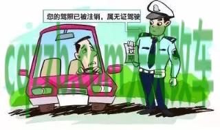 汽车分享：机动车无证驾驶不拘留方法详解_交通业务办理  第3张