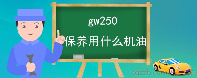 gw250保养用什么机油(GW250是什么车)  第1张