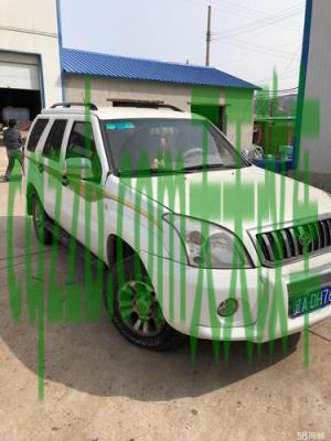 了解汽车：大迪霸道SUV_什么是大迪霸道SUV