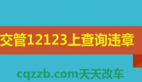 谈谈：12123选号每天都可以选吗(12123可以办理哪些业务)  第2张