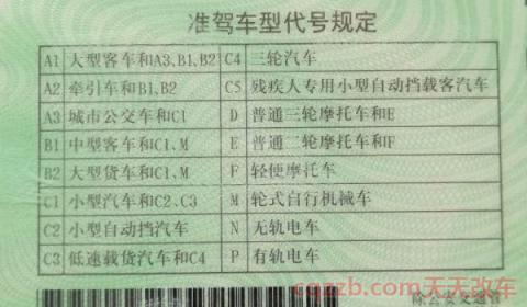 换驾驶证照片要求(机动车驾驶证一共有多少个类型)  第3张