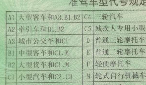 a2是什么驾驶证(驾驶证丢失可以驾驶车辆吗) 第2张