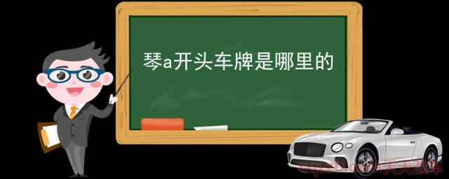 琴a开头车牌是哪里的(车牌号尾号的含义)  第1张