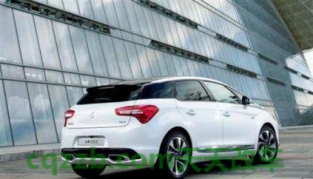 车回答:标致雪铁龙_什么是标致雪铁龙 第3张