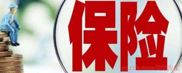 车辆保险可以查询吗(车辆第二年换保险更换保险公司可以吗)  第1张
