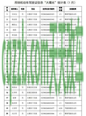 有用：法院判决过失致人重伤死亡的赔偿有哪些 驾驶证分被扣完了要怎么办  第2张