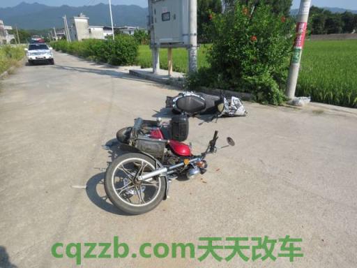汽车疑问：哪种交通事故的情形保险公司不赔偿 摩托车没有牌照出了交通事故怎么处理  第3张