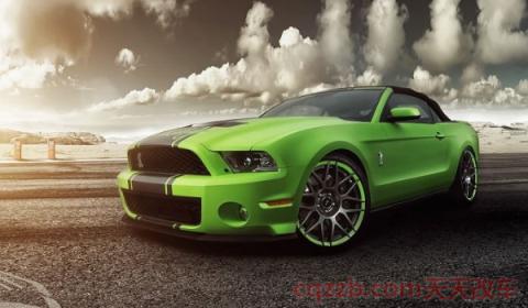 野马加92还是95(野马车辆尺寸)  第3张