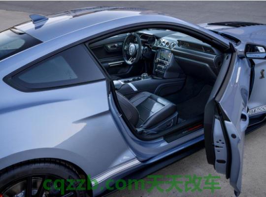 汽车问答：车被淹了怎么办没买保险 车标是一条眼镜蛇是什么车的牌子  第2张