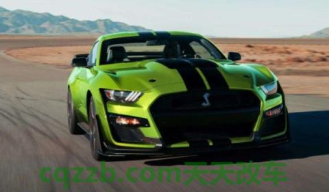 解惑:车标是眼镜蛇是什么车(Shelby跑车gte的底盘转向系统是什么) 第2张