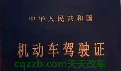 怎么查自己考驾照的成绩(机动车驾驶证在哪里报名)  第2张