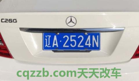 讲一讲：绥中车牌号是辽什么(车辆号牌上能够看出哪些信息)  第2张