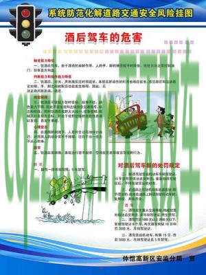 简单说说：醉酒驾驶的危害_交通业务办理  第3张