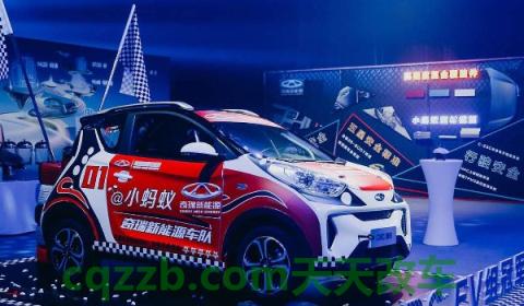 奇瑞小蚂蚁充电红灯闪不停(奇瑞小蚂蚁有几款在售车型)  第3张