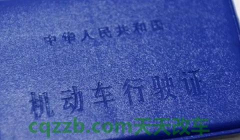 千岛湖车牌是浙什么(车辆号牌可以在其他车辆上使用吗)  第3张